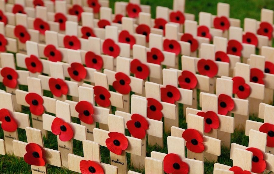 Why The Red Poppy Flower Is Used For Military Remembrances Why The Red Poppy Flower Is Used For Military Remembrances