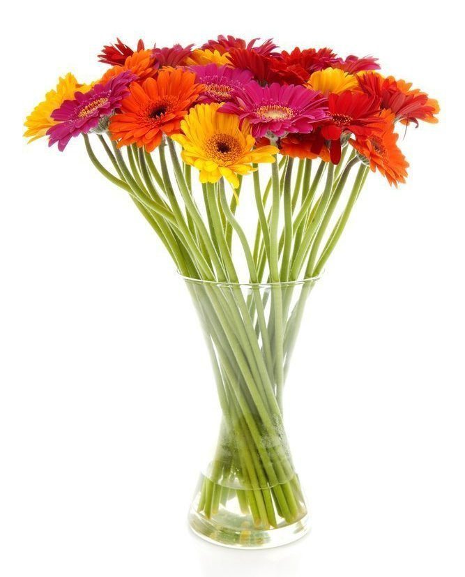 The Origin And Meanings Of Your Favorite Flowers meanings of your favorite flowers